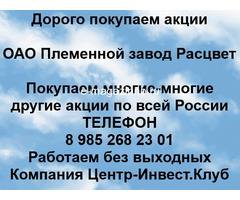 Покупаем акции ОАО Племенной завод Расцвет и любые другие акции по всей России