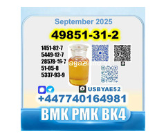 49851-31-2 (2-Bromo-1-Phenyl-Pentan-1-One) bk4 factory Safe delivery - Изображение 4