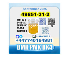 49851-31-2 BVF 2-Bromovalerophenone bmk BK4 factory stable supply - Изображение 2