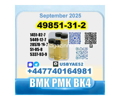 49851-31-2 BVF 2-Bromovalerophenone bmk BK4 factory stable supply - Изображение 3