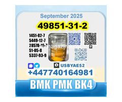 49851-31-2 BVF 2-Bromovalerophenone bmk BK4 factory stable supply - Изображение 5