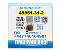 49851-31-2 BVF 2-Bromovalerophenone bmk BK4 factory stable supply - Изображение 6