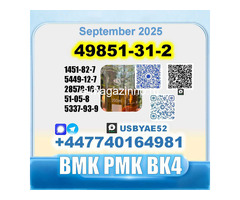 49851-31-2 BVF 2-Bromovalerophenone bmk BK4 factory stable supply - Изображение 7