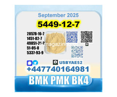BMK glycidic acid 5449-12-7 PMK 28578-16-7 Source factory