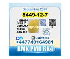 New 5449-12-7 BMK 28578-16-7 PMK factory safe delivery - Изображение 4