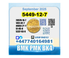 New 5449-12-7 BMK 28578-16-7 PMK factory safe delivery - Изображение 6