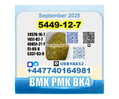 New 5449-12-7 BMK 28578-16-7 PMK factory safe delivery - Изображение 7