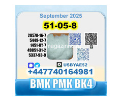 51-05-8 Procaine HCl bvf bk4/2b4m BMK pmk safe delivery - Изображение 2