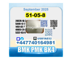 51-05-8 Procaine HCl bvf bk4/2b4m BMK pmk safe delivery - Изображение 3