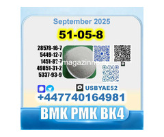 51-05-8 Procaine HCl bvf bk4/2b4m BMK pmk safe delivery - Изображение 4