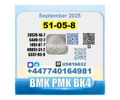 51-05-8 Procaine HCl bvf bk4/2b4m BMK pmk safe delivery - Изображение 5