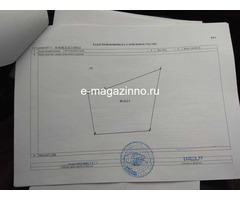 Шикарное предложение для бизнеса