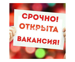 Работа для студентов
