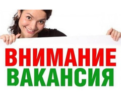 Организатор интернет-магазина.